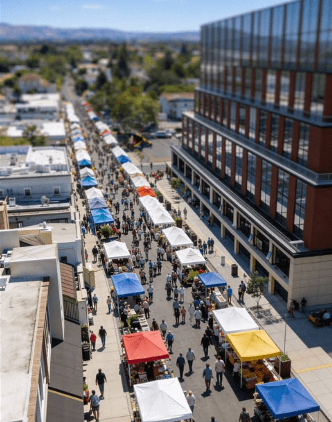 Sunnyvale Art & Wine Festival 1