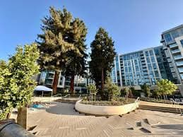 Cityline Sunnyvale 1