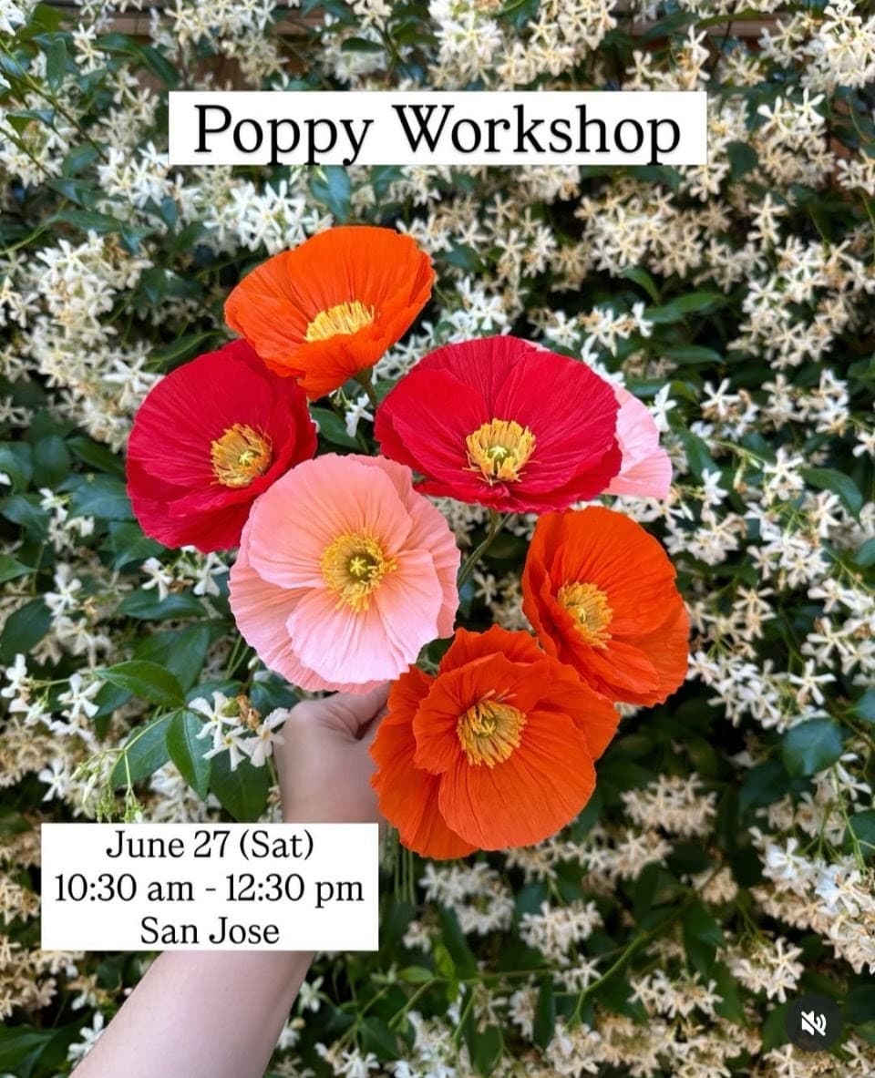 Poppy Flower Workshop