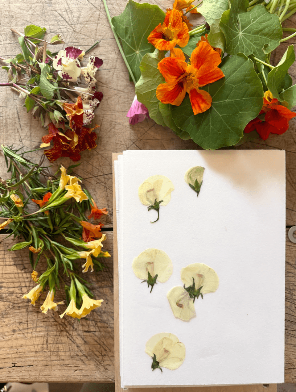 Master the Art of Flower Pressing gallery image 2