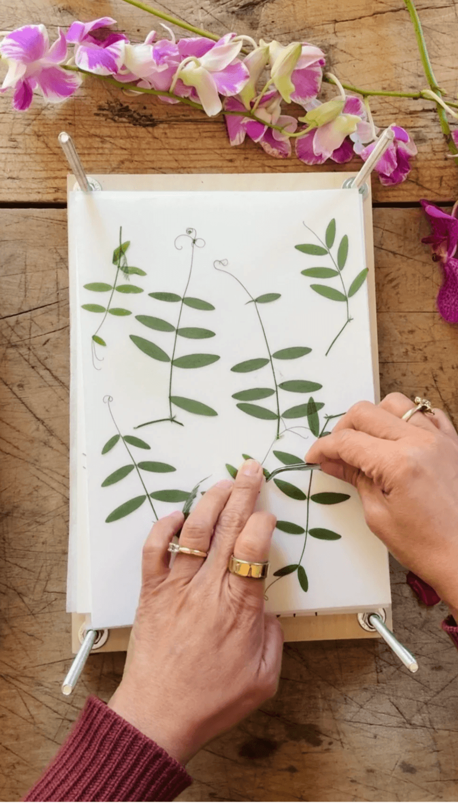 Master the Art of Flower Pressing gallery image 3
