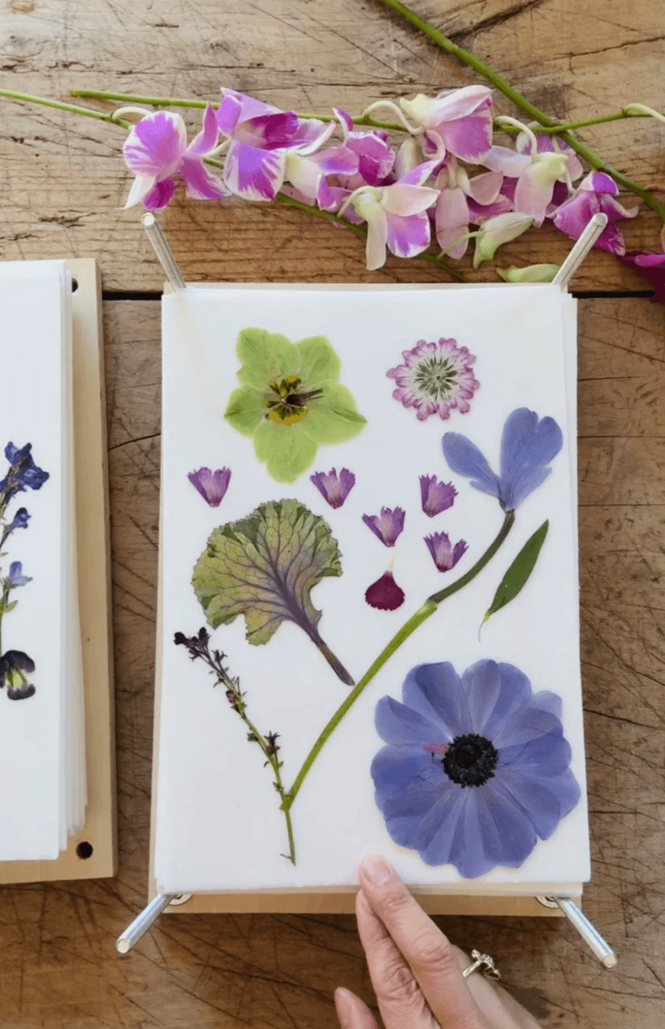 Master the Art of Flower Pressing gallery image 4
