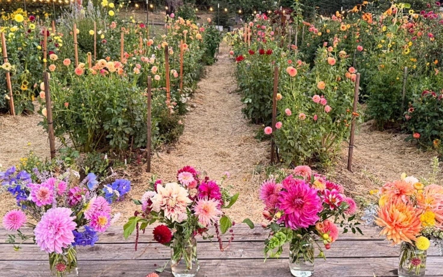 Pressed Flower Workshop gallery image 1