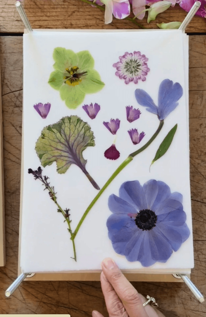 Pressed Flower Workshop gallery image 3